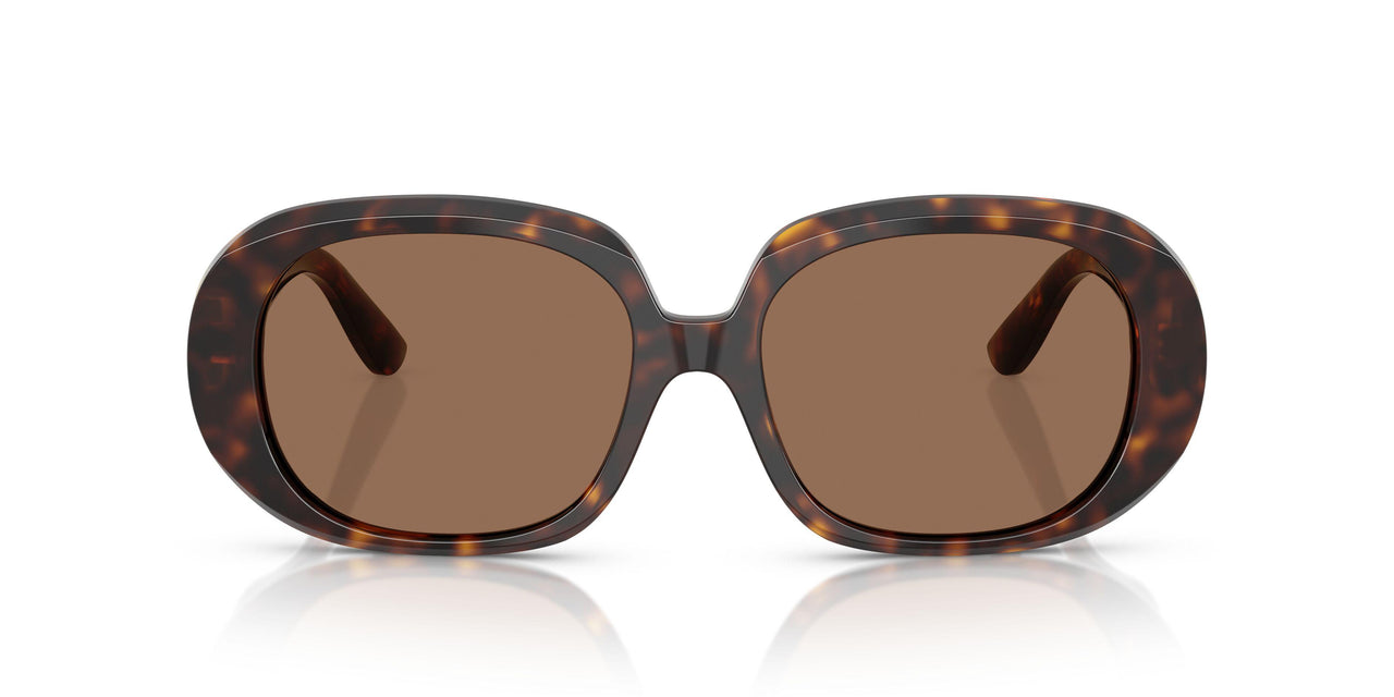 502/73 - Tortoise - Dark Brown