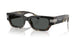 545687 - Tortoise - Dark Grey