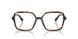 5002 - Tortoise