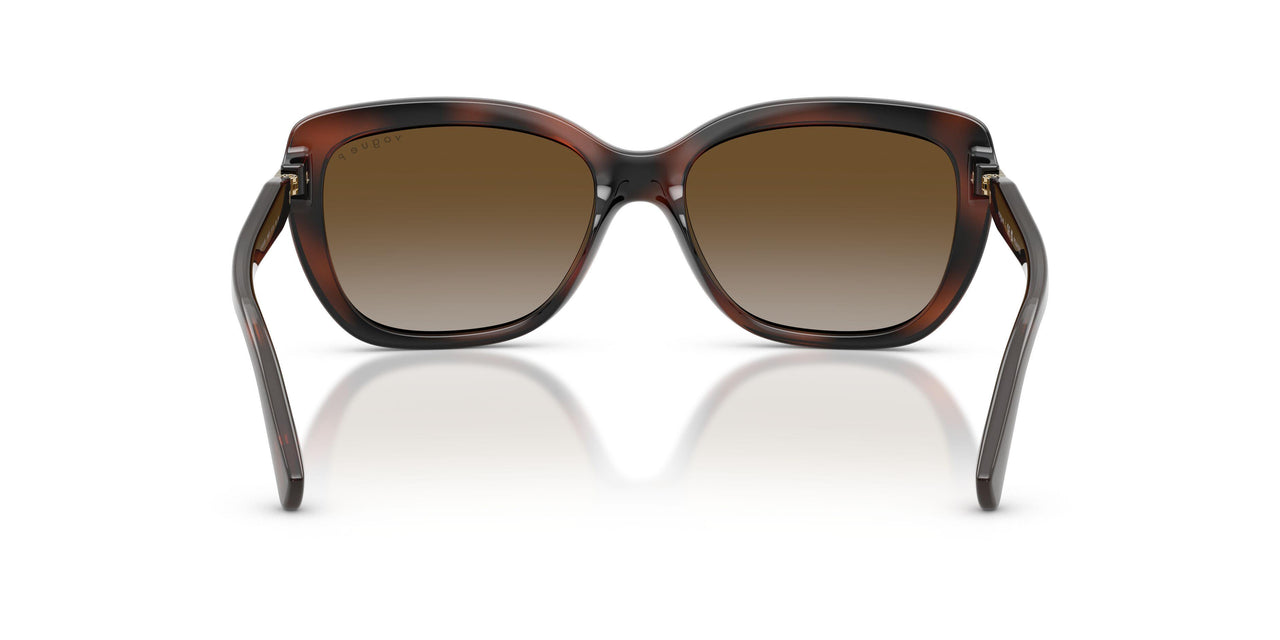 2386T5 - Brown - Grey Gradient Brown Polarized