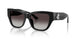 50008G - Black - Gradient Gray