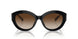 300513 - Black - Brown Gradient