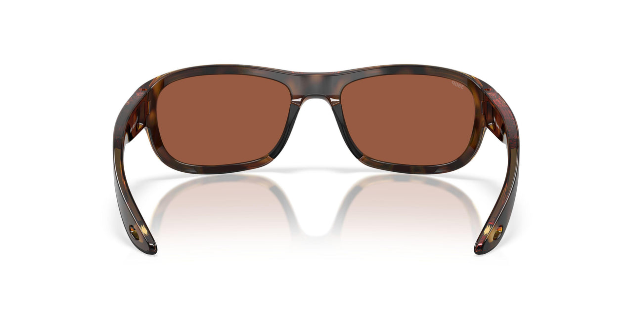 911909 - Tortoise - Copper
