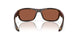 911909 - Tortoise - Copper