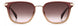 0B3V-HA - Violet - Brown Gradient