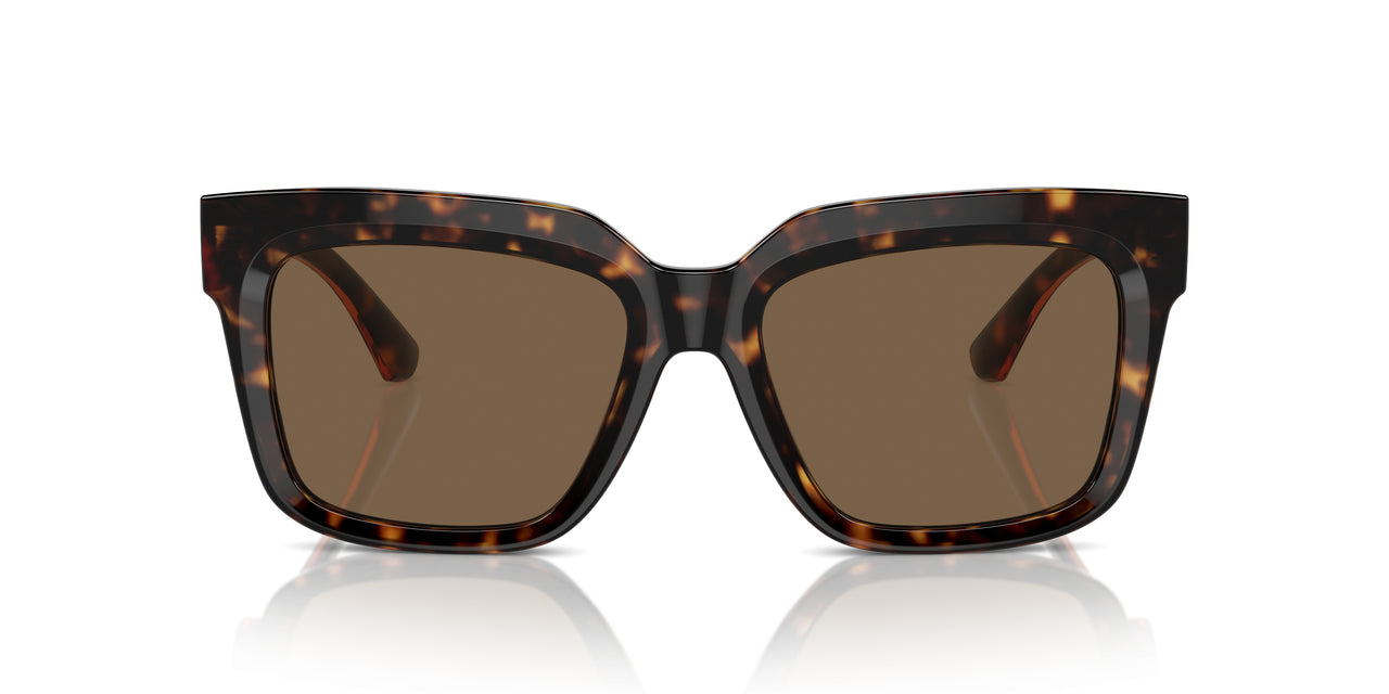 300273 - Brown - Dark Brown