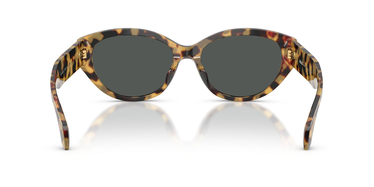 777/87 - Tortoise - Dark Grey