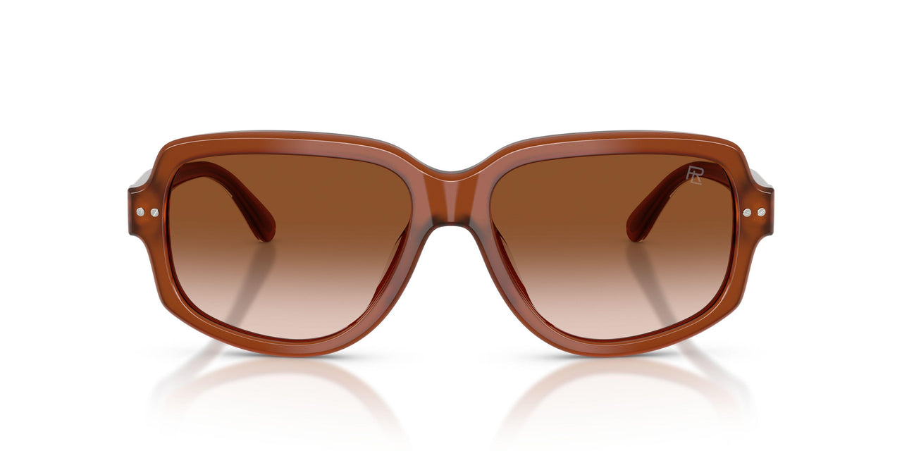 630613 - Brown - Gradient Brown