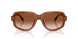 630613 - Brown - Gradient Brown