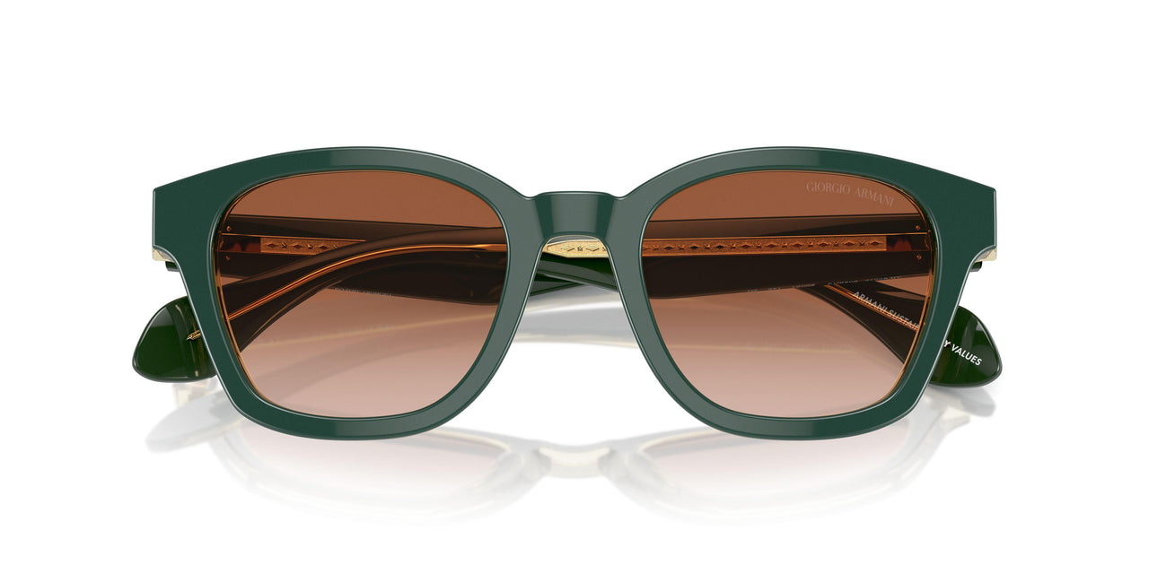 608613 - Green - Gradient Brown