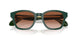 608613 - Green - Gradient Brown