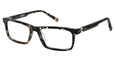 01 - Brown-black Tort