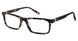 2BB BBBEAU Eyeglasses