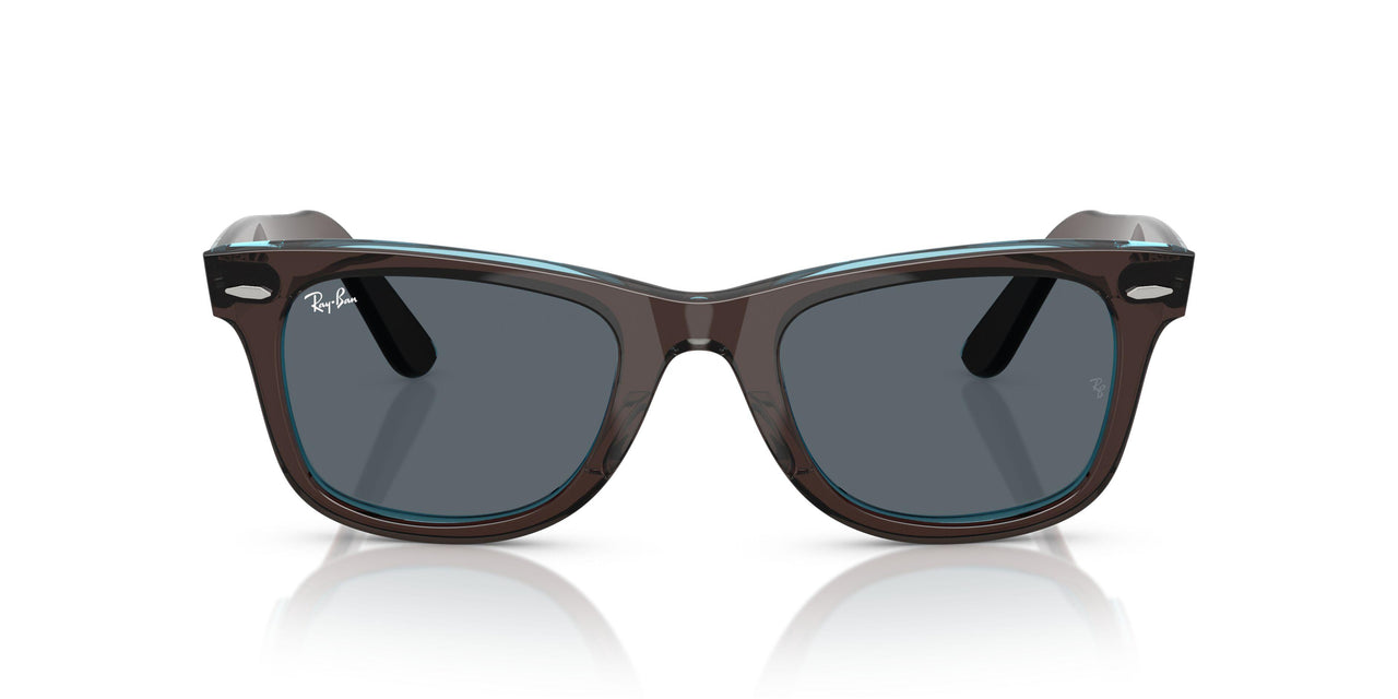 1446R5 - Brown - Blue