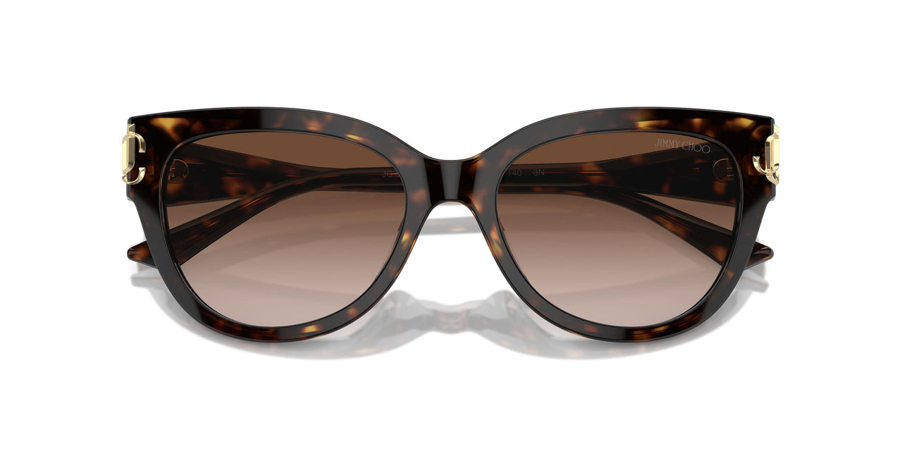 500213 - Tortoise - Gradient Brown
