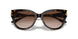 500213 - Tortoise - Gradient Brown