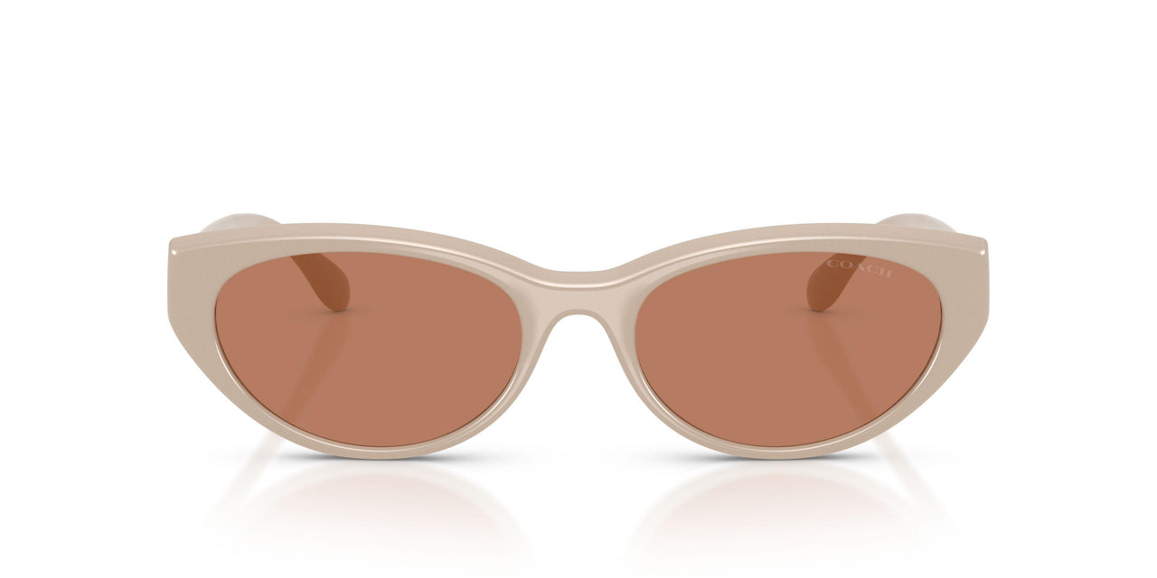 58843 - Brown - Brown Solid