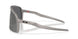 940658 - Grey - Prizm Black