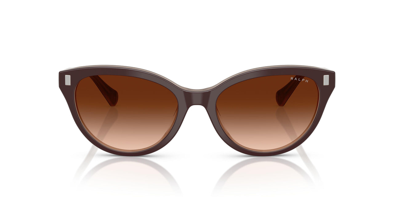 606574 - Brown - Gradient Brown