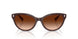 606574 - Brown - Gradient Brown
