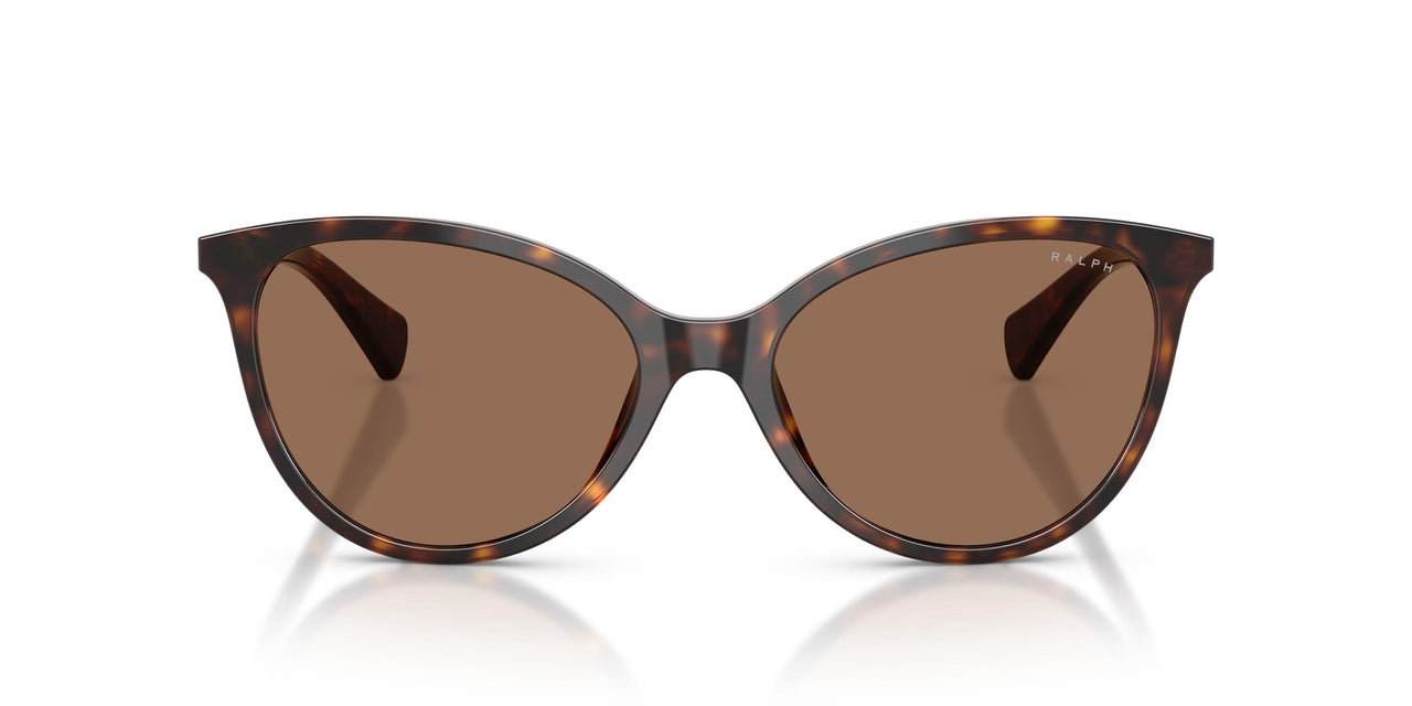 500373 - Brown - Brown