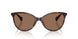 500373 - Brown - Brown