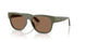 318573 - Green - Dark Brown