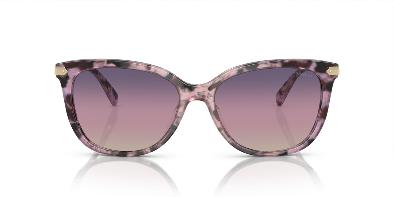 5777U6 - Violet - Purple Gradient