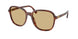 Miu B01S Sunglasses