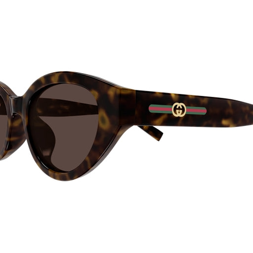 002 - Havana - Brown