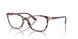 3150 - Tortoise