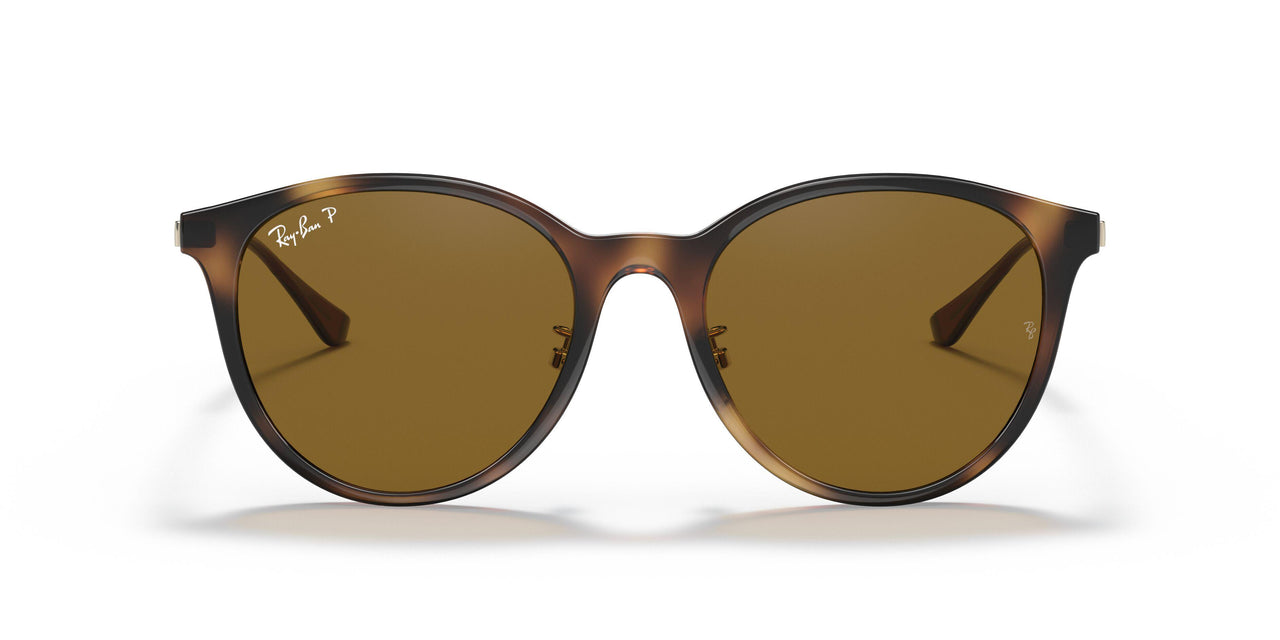 710/83 - Tortoise - Brown