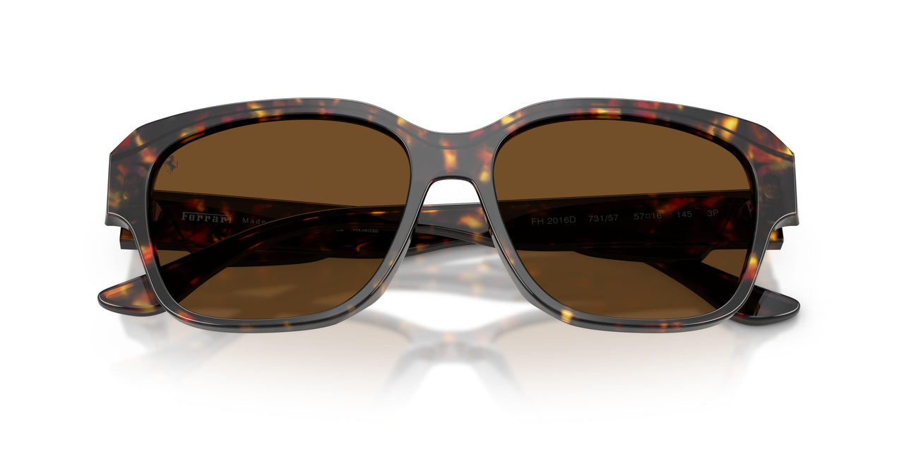 731/57 - Tortoise - Brown Polar