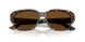 731/57 - Tortoise - Brown Polar