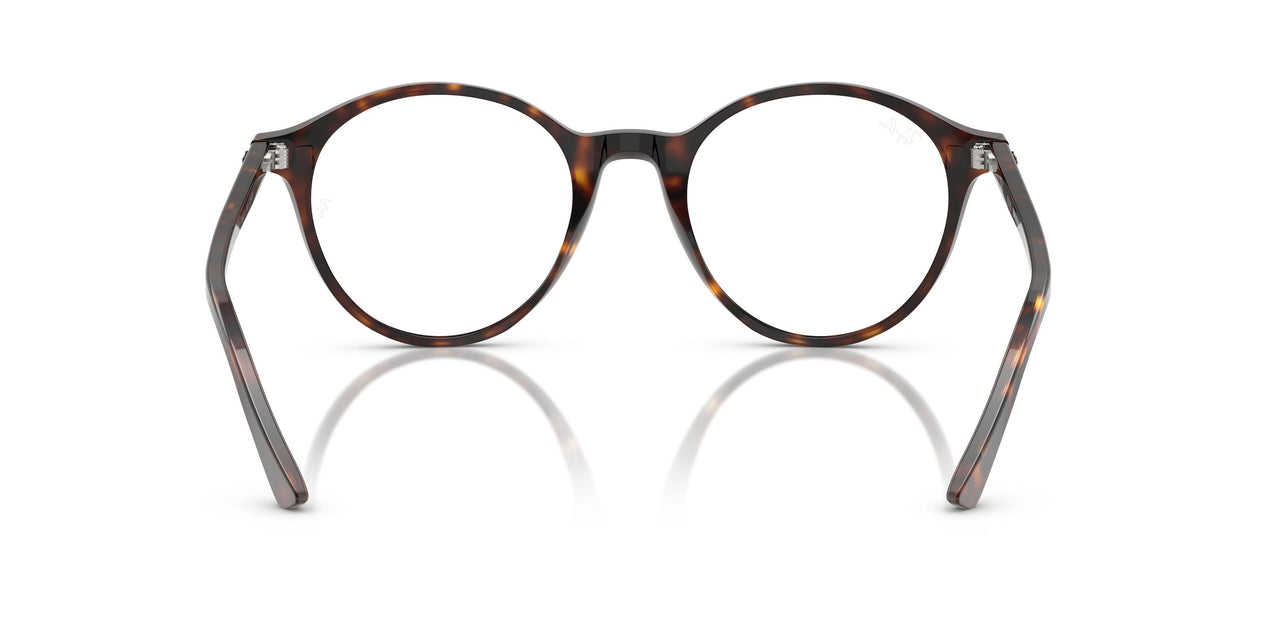 902/GH - Tortoise - Transitions 8 Grey