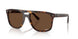 902/AN - Tortoise - Polar Brown
