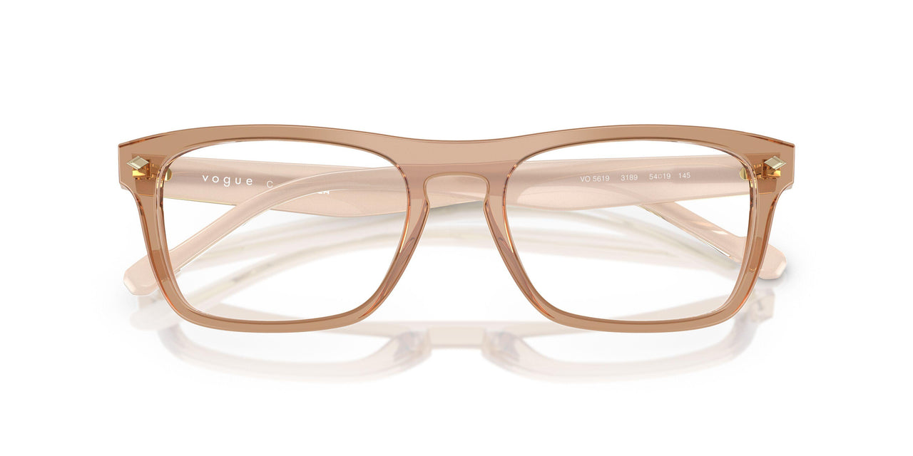 3189 - Brown