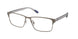 Polo 1243 Eyeglasses