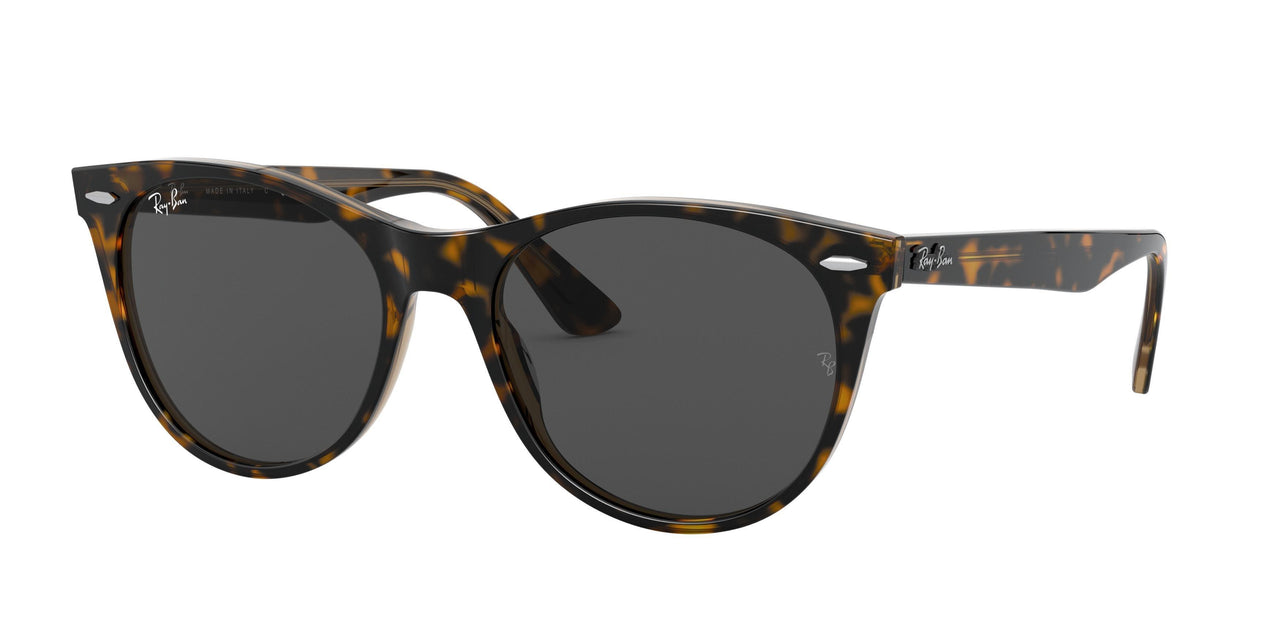 1292B1 - Havana On Trasparent Light Bro - Dark Grey