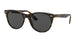 1292B1 - Havana On Trasparent Light Bro - Dark Grey