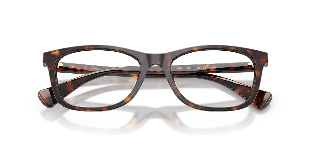5003 - Tortoise