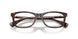 5003 - Tortoise