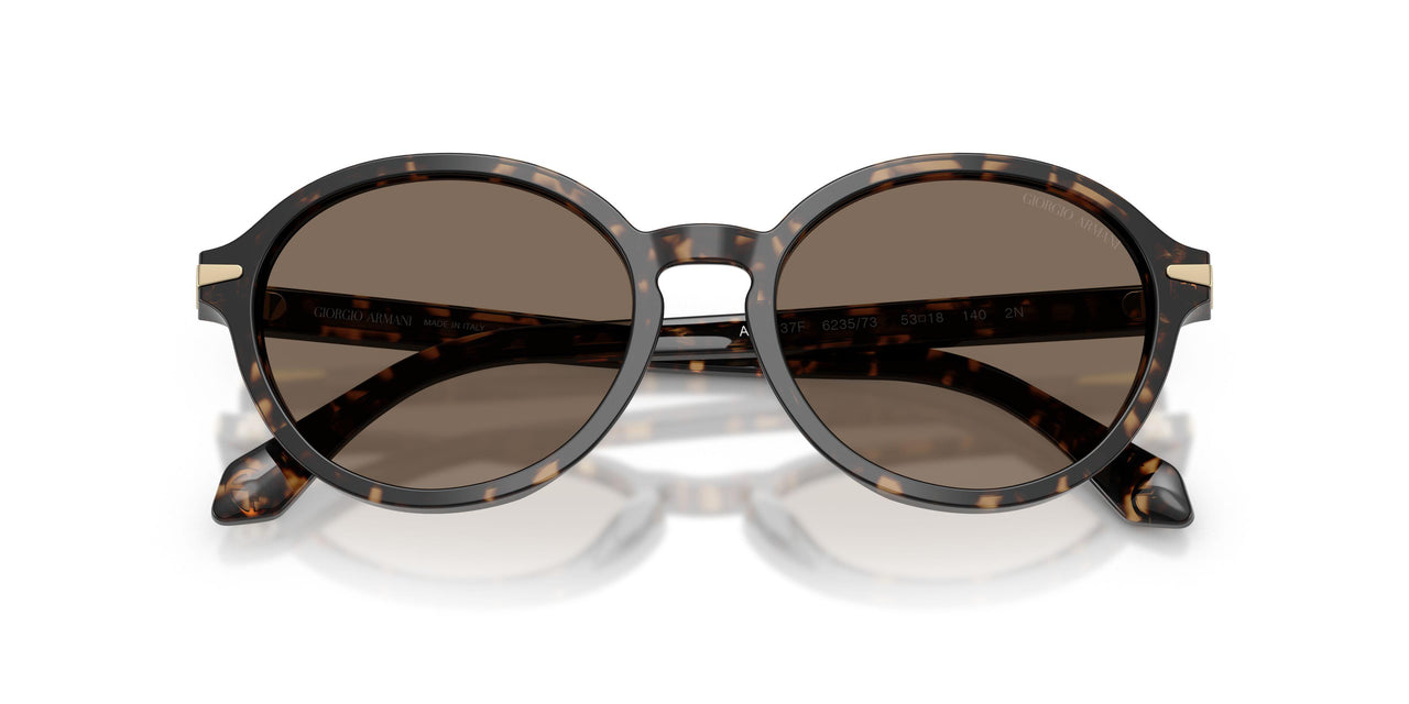 623573 - Tortoise - Dark Brown