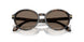 623573 - Tortoise - Dark Brown