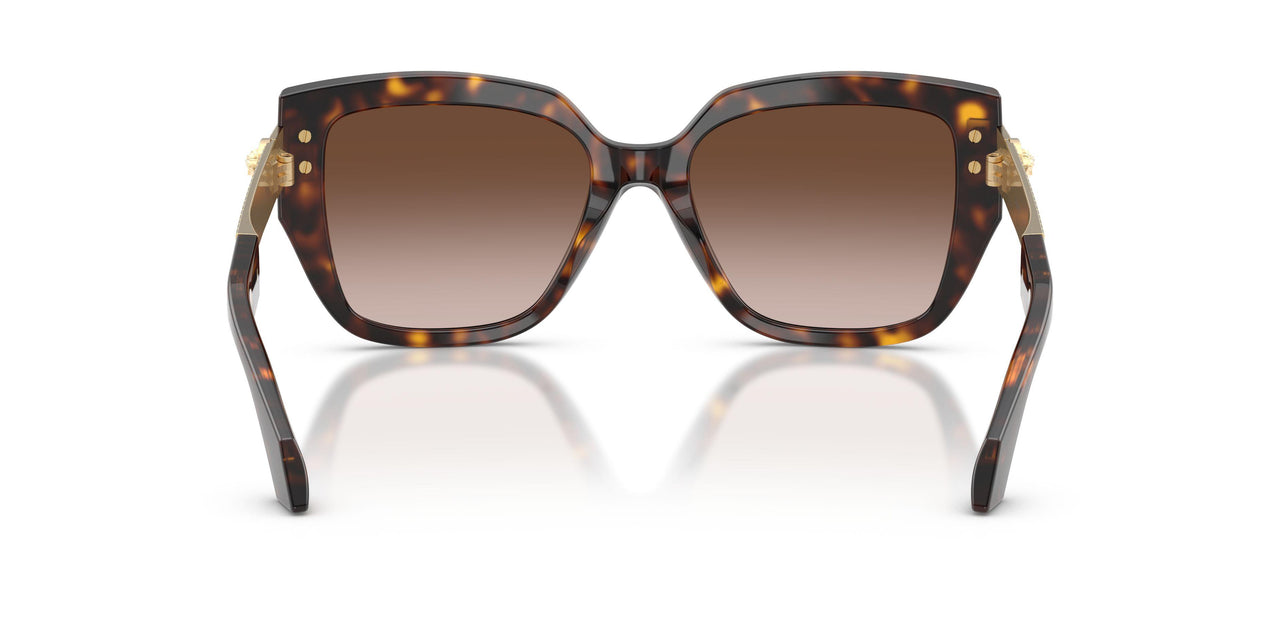 108/13 - Brown - Brown Gradient