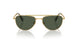 401782 - Gold - Light Green