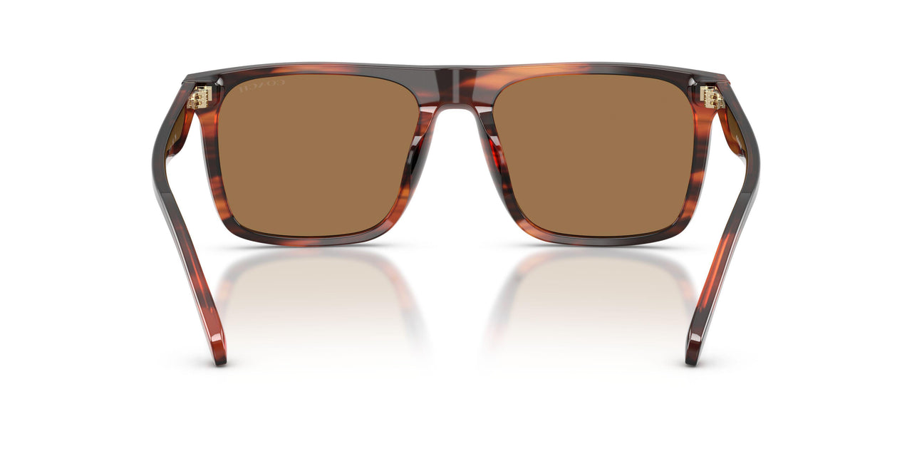 5906/O - Brown - Brown Flash
