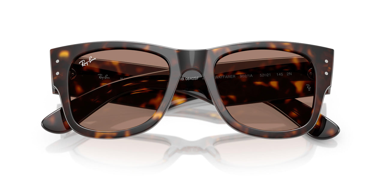 902/1A - Tortoise - Light Violet