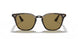 710/73 - Havana - Brown