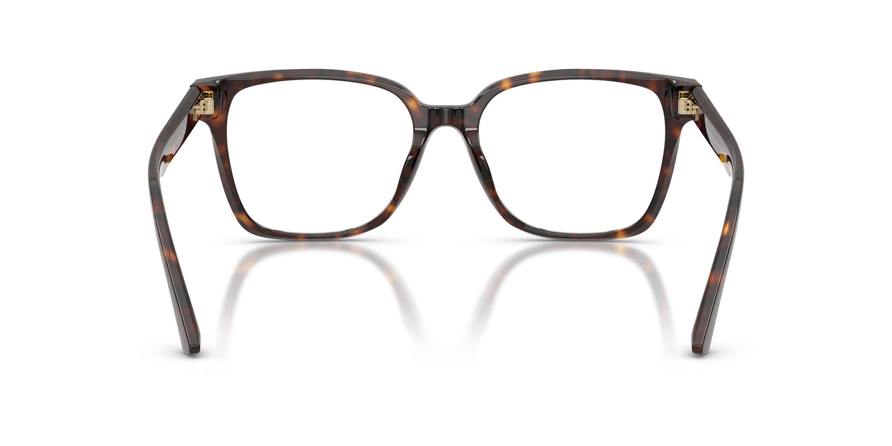 5002 - Tortoise